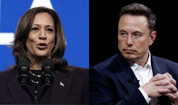 White Dude's For Harris’ Twitter Page Gets Deleted After Raising $2M For Kamala