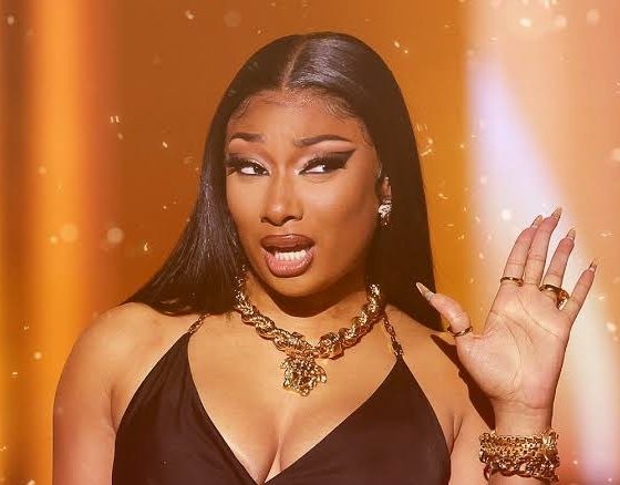 Fan Almost Kicked Out Of Megan Thee Stallion’s Meet And Greet For Getting Too Handsy