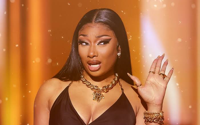Fan Almost Kicked Out Of Megan Thee Stallion’s Meet And Greet For Getting Too Handsy
